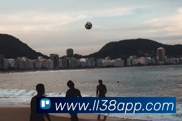 w66国际利来全站App w66国际利来全站App